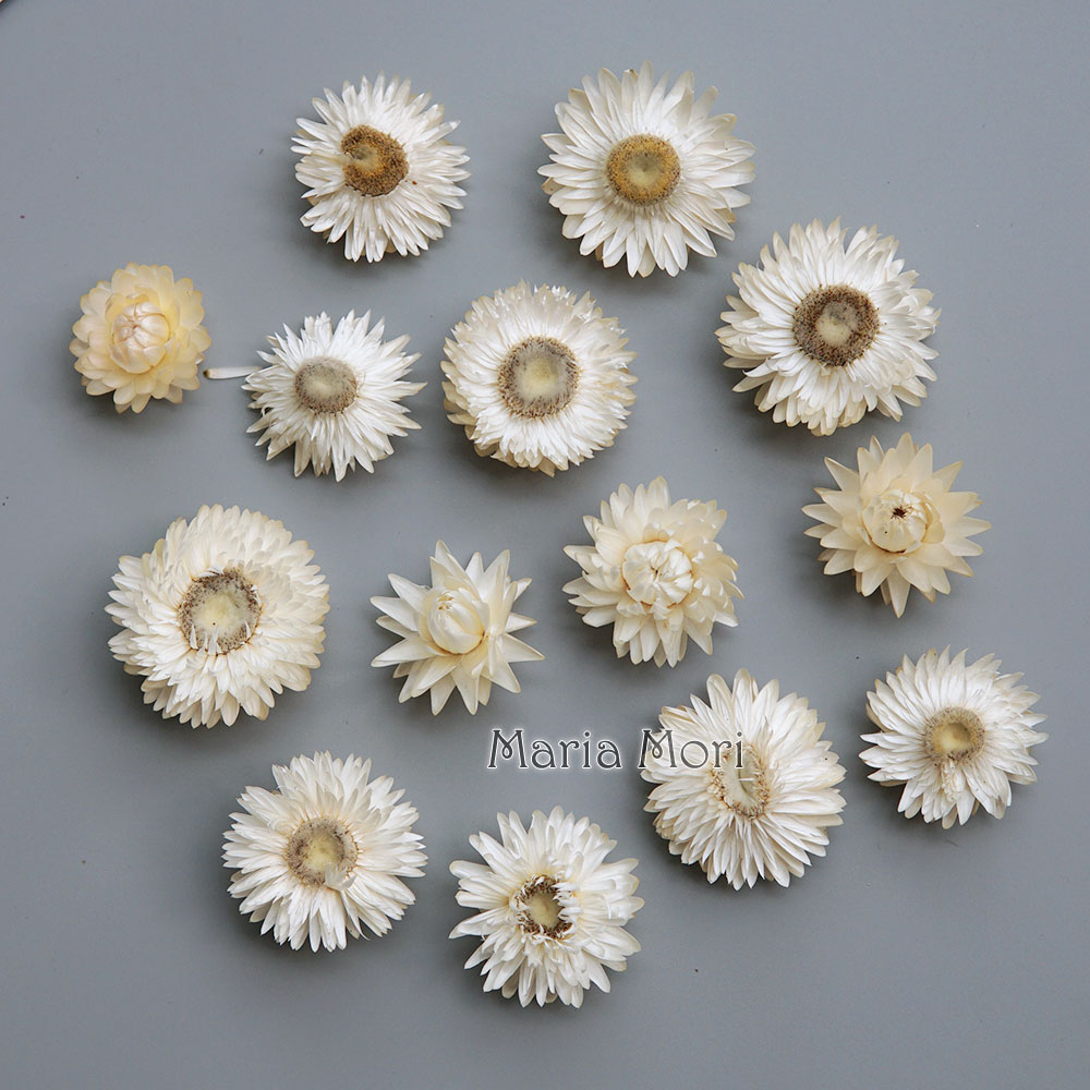 Home Textiles Products - Natuurlijke Gedroogde Kleurrijke Chrysanthemum Krans Handgemaakte