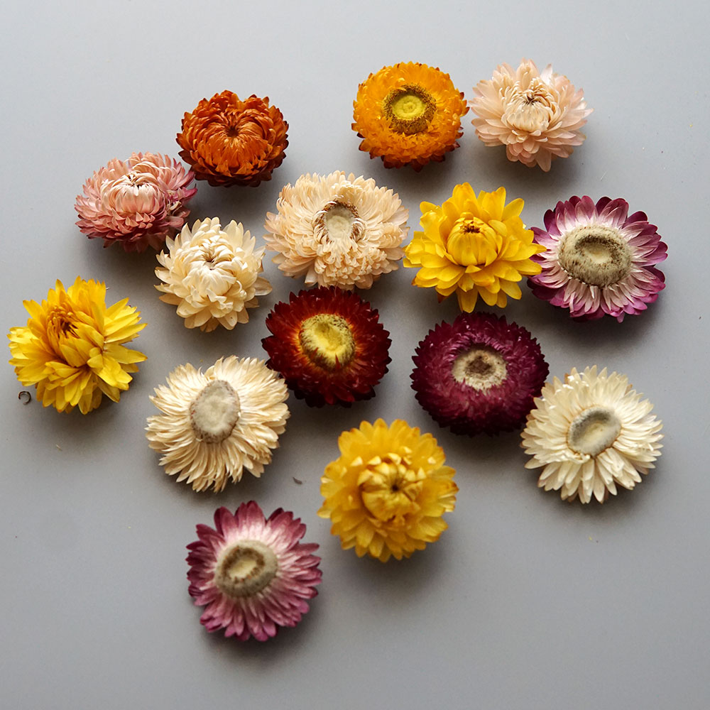Natuurlijke Gedroogde Kleurrij - Home Textiles Products recensie en prijs
