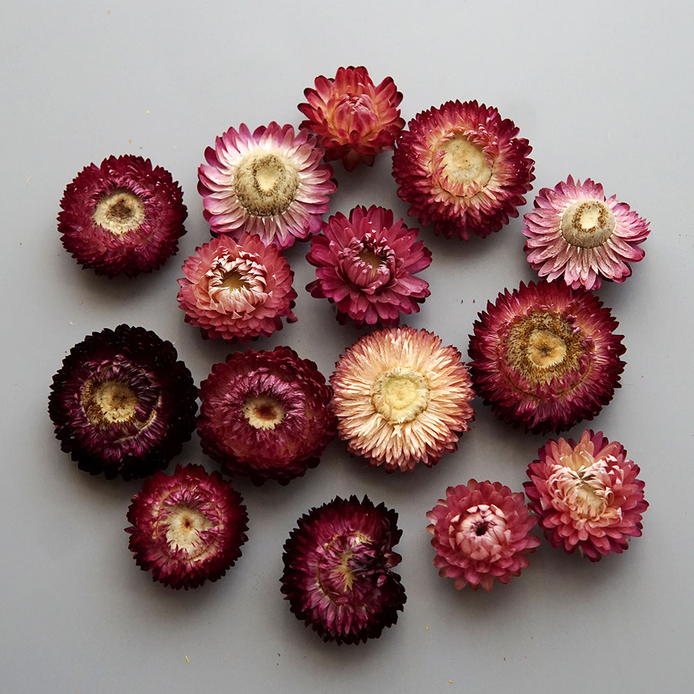 Natuurlijke Gedroogde Kleurrij - Home Textiles Products recensie en prijs