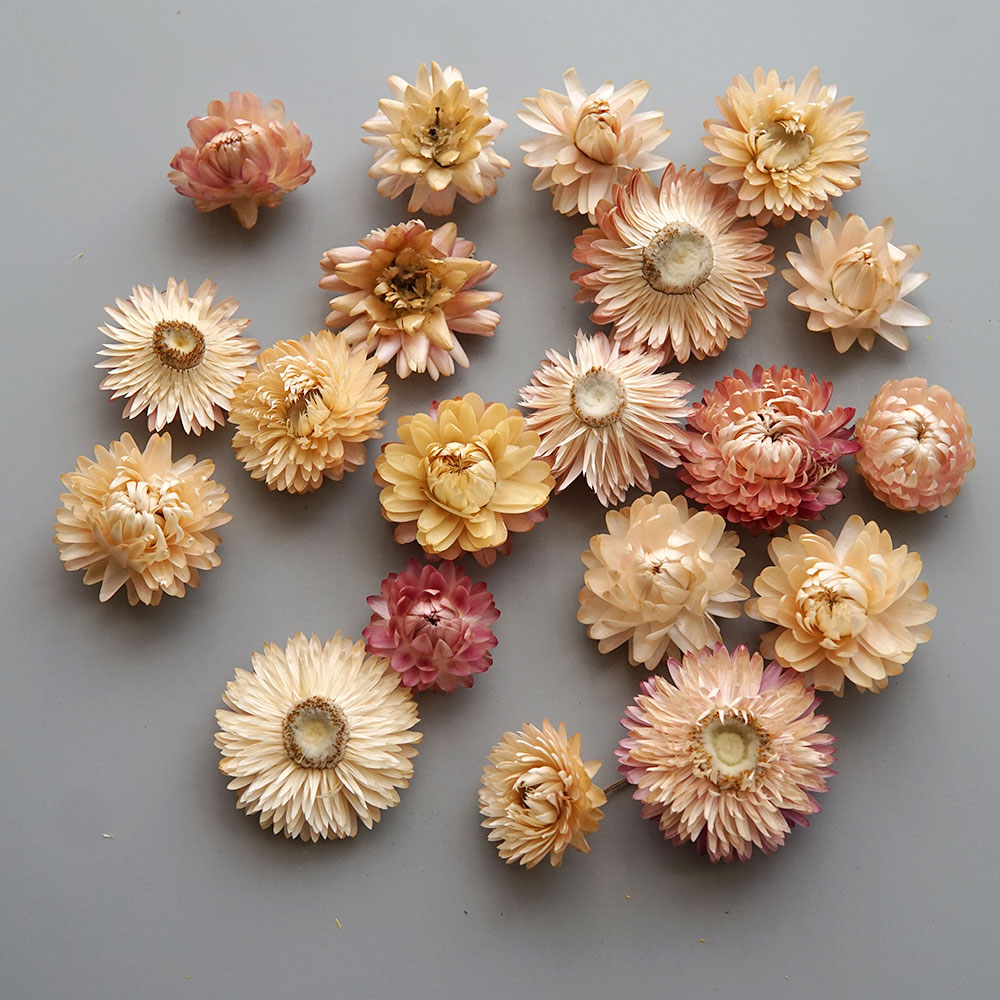 Natuurlijke Gedroogde Kleurrij - Home Textiles Products recensie en prijs