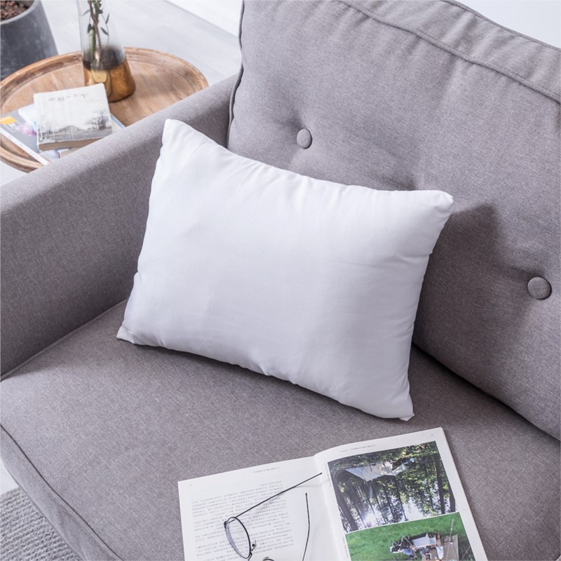Standaard wit bounce rugkussen - Pillow Insert 18X18 recensie en prijs