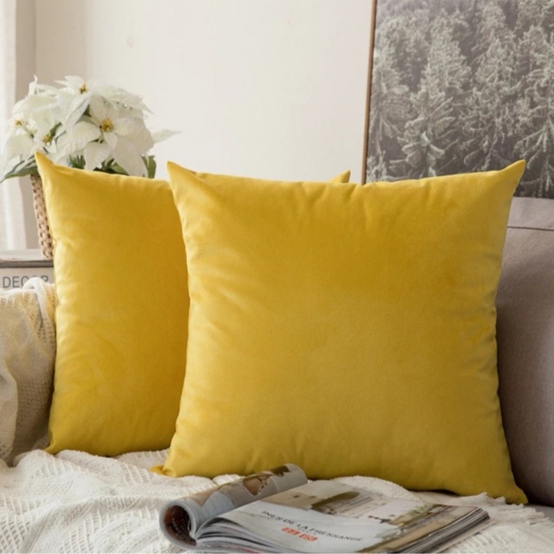 Nederlandse fluwelen effenkleu - Pillow Insert 18X18 recensie en prijs